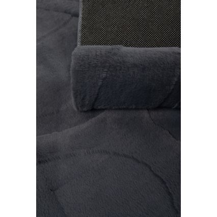 Vaip RABBIT 3D 160x230 cm antratsiit