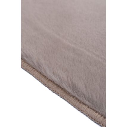 Vaip RABBIT-FOX 60x90 cm beež