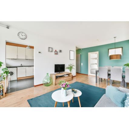 Vaip RABBIT-ROSA NEW 80x150 cm 2000g/m2 türkiissinine