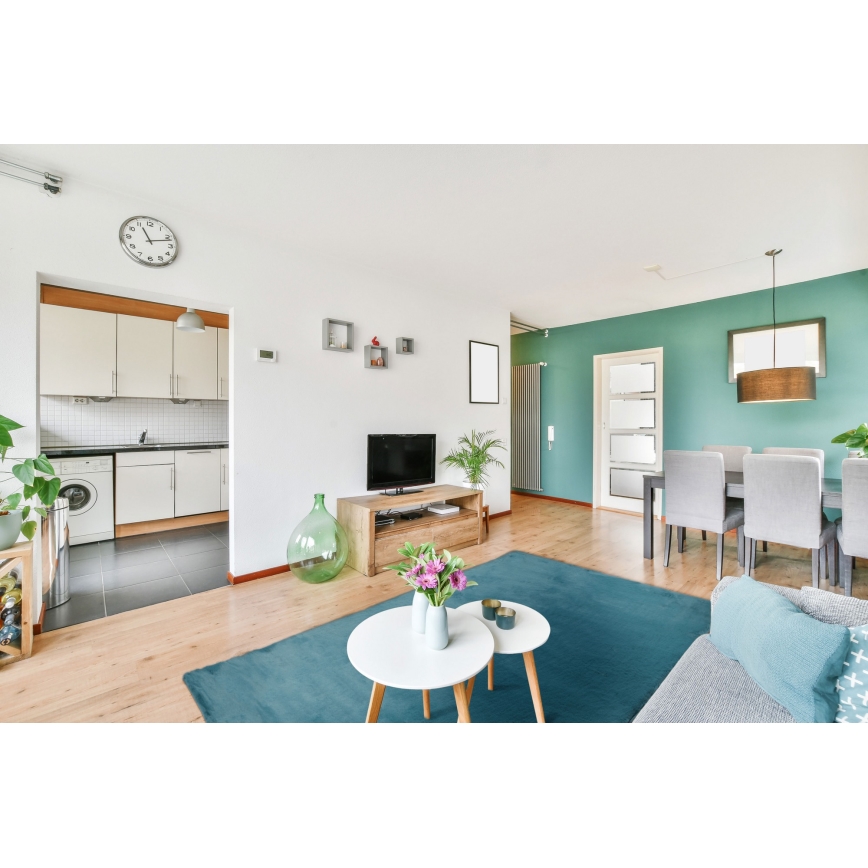 Vaip RABBIT-ROSA NEW 80x150 cm 2000g/m2 türkiissinine