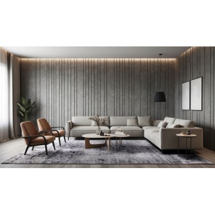 Vaip SALAMANCA 120x170 cm hall/valge