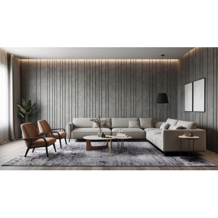 Vaip SALAMANCA 67x120 cm hall/valge