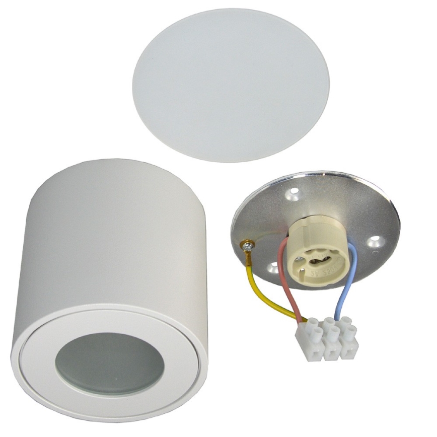 Väli laevalgusti FARA 1xGU10/50W/230V IP54 valge