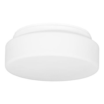 Väli laevalgusti HECTOR 1xE27/60W/230V d. 25 cm IP44 opaal valge