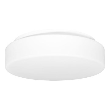 Väli laevalgusti HECTOR 1xE27/60W/230V d. 30 cm IP44 opaal valge