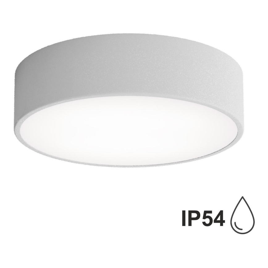 Väli laevalgusti koos anduriga CLEO 2xE27/24W/230V d. 30 cm hall IP54