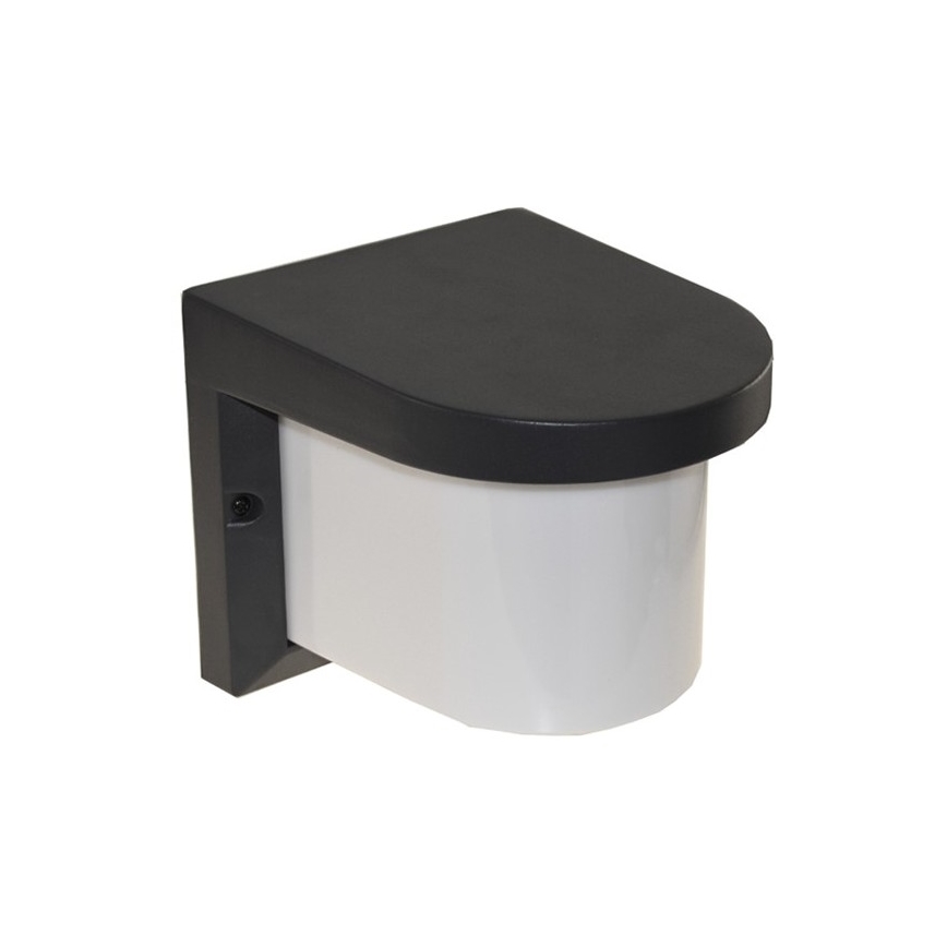Väli seinavalgusti PETUNIA 1xE27/60W/230V IP44 antratsiit