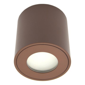 Väline suunavalgusti FARA 1xGU10/30W/230V IP54 pruun