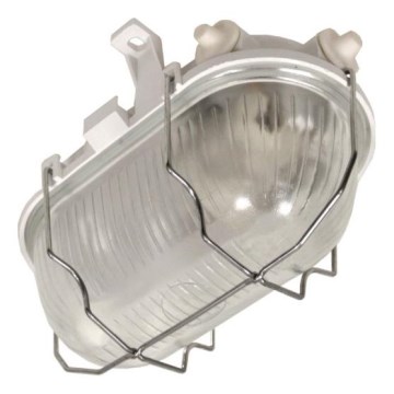 Välislae valgusti RADUS 1xE27/60W/230V IP54 valge