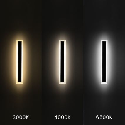 Välisseinale mõeldud LED-seinavalgusti WOW LED/20W/230V 3000/4000/6500K 60 cm IP54 must