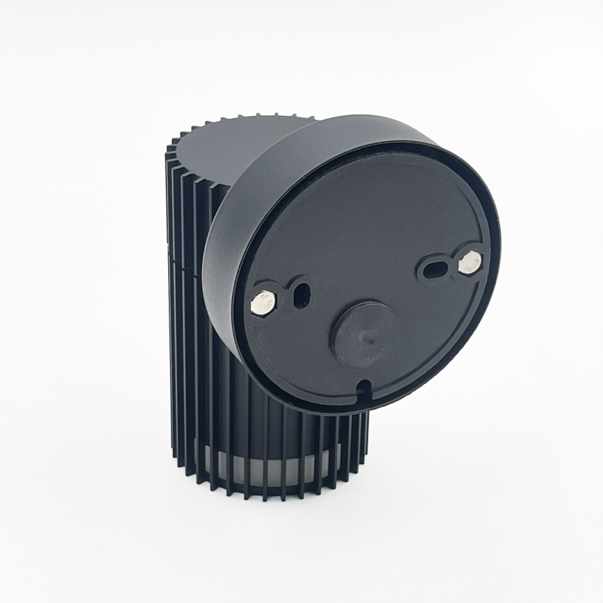Välisseinale paigaldatav suunatav seinavalgusti LANTHEA 1xGU10/11W/230V IP44 must