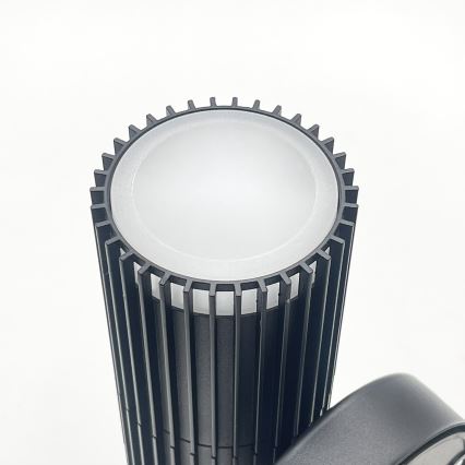 Välisseinale paigaldatav suunatav seinavalgusti LANTHEA 1xGU10/11W/230V IP44 must