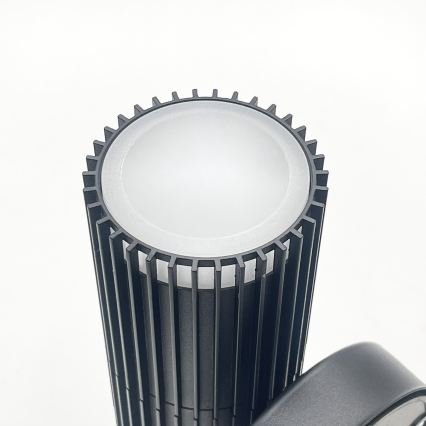 Välisseinale paigaldatav suunav seinavalgusti LANTHEA 2xGU10/11W/230V IP44 must
