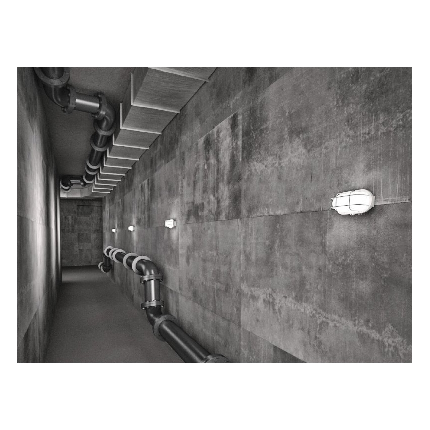 Välistingimustes laelamp OVAL 1xE27/60W/230V IP44 valge