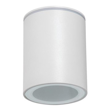 Välisvalgusti AQILO 1xGU10/7W/230V IP65 valge