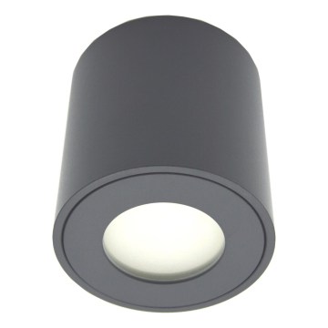 Välisvalgusti FARA 1xGU10/30W/230V IP54 must