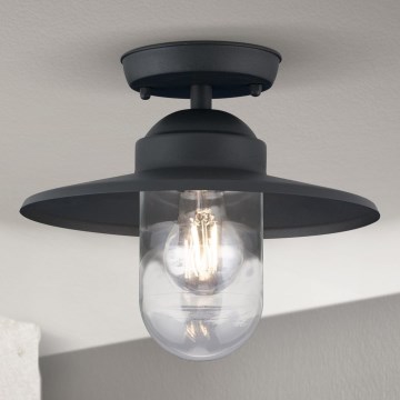 Välisvalgusti pinnapealne laelamp EDWARD 1xE27/60W/230V IP44 antratsiit