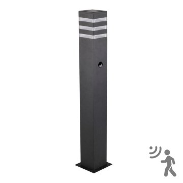 Välivalgusti koos anduriga TEKSAS 1xE27/12W/230V IP44 74 cm antratsiit
