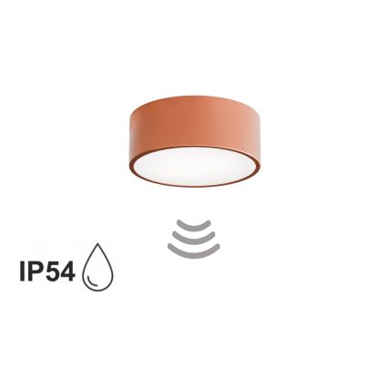 Vannitoa laelamp anduriga CLEO 1xE27/24W/230V, läbimõõt 20 cm, IP54, vaskviimistlus