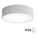 Vannitoa laelamp anduriga CLEO 2xE27/24W/230V, läbimõõt 30 cm, hall, IP54