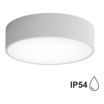 Vannitoa laelamp anduriga CLEO 2xE27/24W/230V, läbimõõt 30 cm, hall, IP54