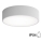 Vannitoa laelamp anduriga CLEO 2xE27/24W/230V, läbimõõt 30 cm, hall, IP54