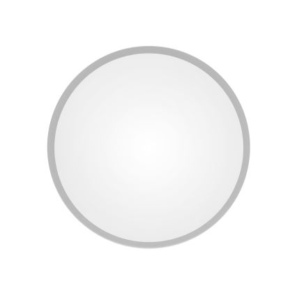 Vannitoa laelamp anduriga CLEO 2xE27/24W/230V, läbimõõt 30 cm, hall, IP54