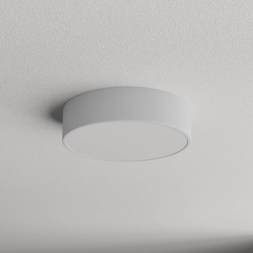 Vannitoa laelamp anduriga CLEO 2xE27/24W/230V, läbimõõt 30 cm, hall, IP54