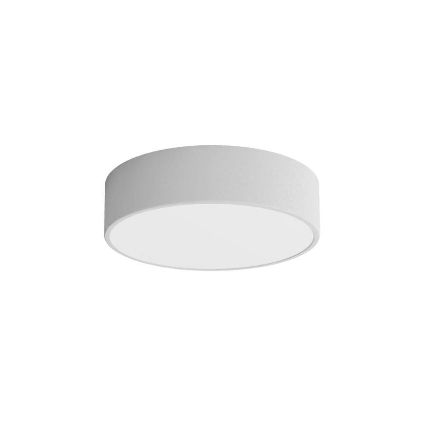 Vannitoa laelamp anduriga CLEO 2xE27/24W/230V, läbimõõt 30 cm, hall, IP54