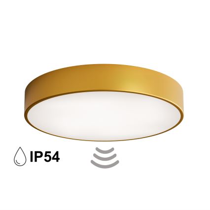 Vannitoa laelamp anduriga CLEO 4xE27/24W/230V, läbimõõt 50 cm, IP54, kuldne