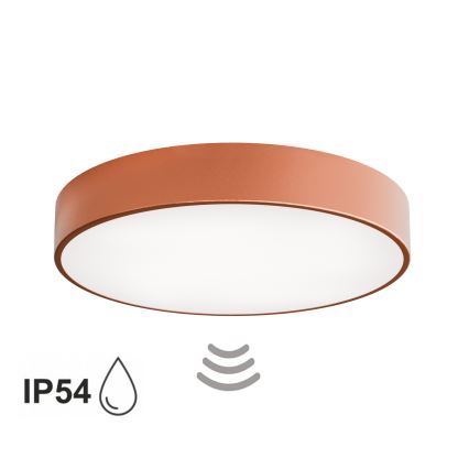 Vannitoa lakke paigaldatav valgusti anduriga CLEO 4xE27/24W/230V, läbimõõt 50 cm, IP54, vaskne