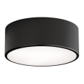 Vannitoa laelamp CLEO anduriga 1xE27/24W/230V, läbimõõt 20 cm, IP54, must