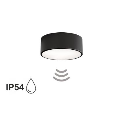 Vannitoa laelamp CLEO anduriga 1xE27/24W/230V, läbimõõt 20 cm, IP54, must