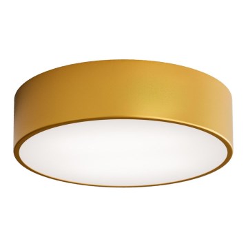 Vannitoa laelamp CLEO liikumisanduriga, 2xE27/24W/230V, läbimõõt 30 cm, kuldne, IP54