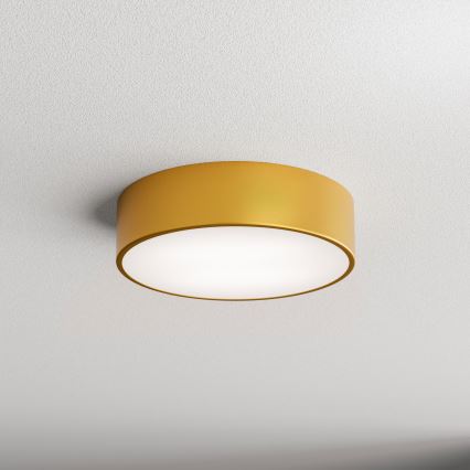 Vannitoa laelamp CLEO liikumisanduriga, 2xE27/24W/230V, läbimõõt 30 cm, kuldne, IP54