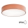 Vannitoa laelamp CLEO liikumisanduriga 3xE27/24W/230V, läbimõõt 40 cm, vaskviimistlus, IP54