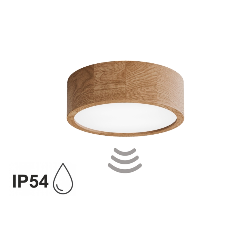 Vannitoa laevalgusti anduriga CLEO 2xE27/24W/230V Ø 27,5 cm IP54 tamm