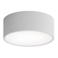 Vannitoa laevalgusti CLEO anduriga, 1×E27, 24 W, 230 V, Ø 20 cm, IP54, hall