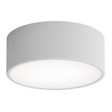 Vannitoa laevalgusti CLEO anduriga, 1×E27, 24 W, 230 V, Ø 20 cm, IP54, hall