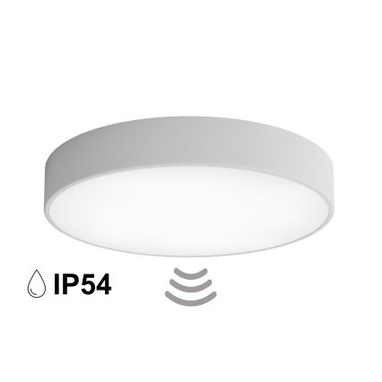 Vannitoa laevalgusti CLEO anduriga 4xE27/24W/230V, läbimõõt 50 cm, IP54, hall