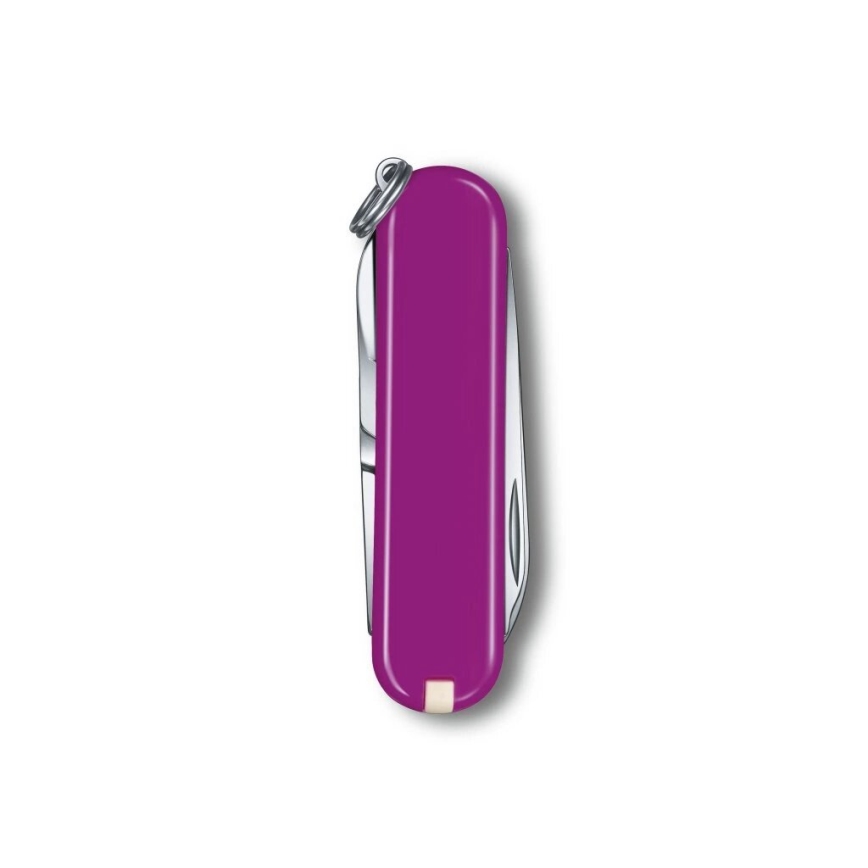 Victorinox - Multifunktsionaalne taskunuga CLASSIC SD 5,8 cm/7 funktsiooni lilla