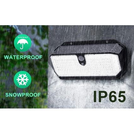 Viking - LED päikesepaneeliga seinavalgusti anduriga LED/2W/3,7V IP65 6000K 2200 mAh