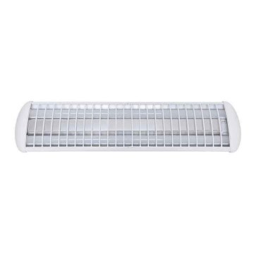 Voltolux - LED Luminofoorvalgusti MODERN 2xLED/12W/230V