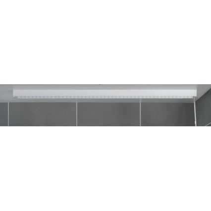WENKO 23864100 - Duširuloo 132x240 cm valge
