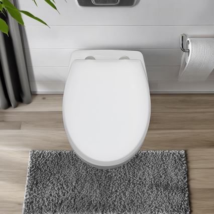 WENKO 24516100-WC WC-iste 300/350 kg 37x44,5 cm valge/hõbedane