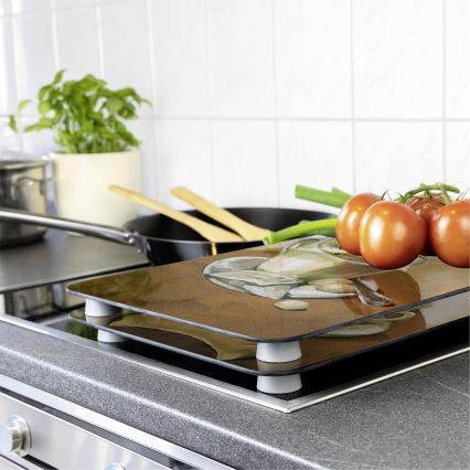 WENKO 2521280100 - Plaadi kate 52x30 cm erksavärviline/hall/läbipaistev