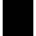 WENKO 53881100 - pritsesein BLACK 60x70 cm, must