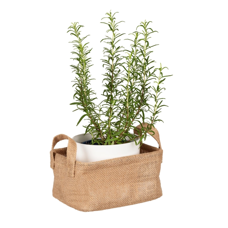 WENKO 64470100 - JUNA korv 20x15 cm pruun