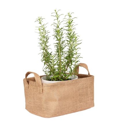 WENKO 64471100 - JUNA korv 24 x 17 cm, pruun