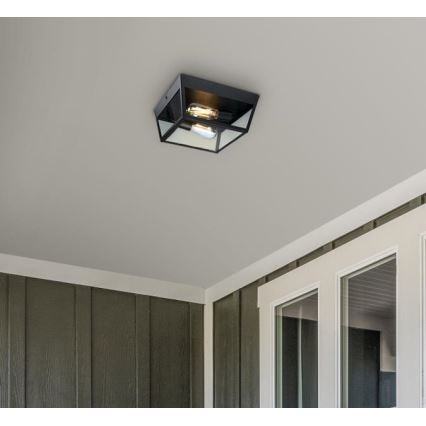 Westinghouse 61219 - Väli laevalgusti PETERSON 2xE27/40W/230V IP44